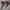 Nike Air Jordan Casual Sneakers Pria burgundy photo 1