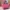 Authentic Longchamp Medium Short Handle photo 2