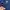 The North Face Vintage Sportswear Windbreaker Pria navy photo 5