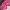 Tas Gym / Travel Bag
TNF Fuschia Pink Duffle Bag photo 3
