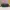 Authentic Longchamp Backpack photo 6