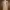 Casual Nightgown Wanita Tan