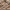 Fudge Store Multipocket Tactical Double Zip Boxy Jacket photo 4