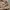 Fudge Store Multipocket Tactical Double Zip Boxy Jacket photo 3