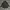 Harrington Jacket photo 1