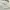 H&M Y2K Biker Shirt Wanita white cream photo 3