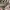 Uniqlo Streetwear Gorpcore Tracksuit Pria green gray photo 5