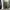 Uniqlo Streetwear Gorpcore Tracksuit Pria green gray photo 1