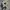 Nike V2k Metalic White Silver photo 4