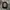 ONE HUNDRED LONGSLEEVE FULLTAPPED By HANES photo 4
