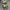 Nike Vumero 5 Bolt White Green photo 4
