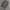 Smart vest textured cable basic academia knitwear photo 5