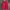Sportswear Leather jacket Pria red photo 7
