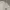 Vest Tactical Fjallraven Kanken photo 10