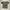United Arrows Streetwear Y2K T-shirt Wanita green photo 4