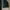 Slazenger Sportswear Pria black blue photo 3
