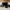 ZARA Luxury Bucket bag Wanita black photo 1