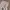 H&M Multipocket Cargo Tactical Baggy Wide Fit photo 4