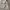 H&M Multipocket Cargo Tactical Baggy Wide Fit photo 3