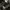 Outdoor Cargo Pants Military photo 7