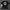TSHIRT LMC BLACK photo 1