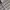 Kemeja Lengan Pendek Crocodile Shirt | Thriftshop photo 3