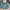 Kipling Y2K Sportswear Bag Pria green photo 2