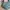 Kipling Y2K Sportswear Bag Pria green photo 3