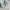 Vintage Convertible Utility Parka Tosca USALL