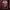 Dickies Luxury T-shirt Pria burgundy photo 2