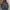 Parka Fishtail Army Looks Parka Vespa Parka Mods photo 1
