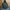 Parka Fishtail Army Looks Parka Vespa Parka Mods photo 7
