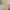 Uniform Bridge Streetwear Casual Casual pants Pria tan photo 5