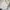 Lee Minimalist Casual Sweatshirt Pria white photo 6