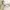 Lee Minimalist Casual Sweatshirt Pria white photo 4