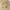 Vivastudio Minimalist Casual Sweatshirt Pria tan photo 4