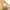 Vivastudio Minimalist Casual Sweatshirt Pria tan photo 5