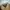 Kangol Streetwear Casual Windbreaker Pria tan photo 3