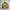 Kangol Streetwear Casual Windbreaker Pria Tan