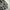 Uniqlo Casual Harrington jacket Pria white black photo 4