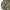 Vintage BDU woodland us military jacket photo 3