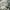 Vintage BDU woodland us military jacket photo 5
