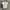 Adidas ringer  photo 1