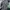 Juventus Home 2021/22 photo 1