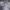 Juventus Home 2021/22 photo 8
