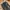 Skater Casual Jeans Pria black gray photo 2