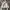 National Geographic Luxury Gorpcore Hoody Pria white cream photo 1