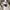 National Geographic Luxury Gorpcore Hoody Pria white cream photo 6
