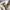 National Geographic Luxury Gorpcore Hoody Pria white cream photo 4
