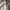 National Geographic Luxury Gorpcore Hoody Pria white cream photo 2